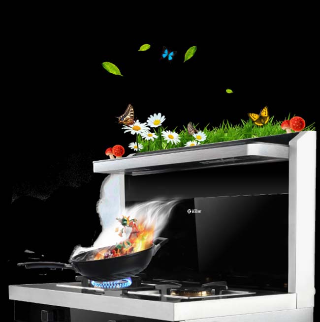 集成灶加盟費用是多少,這是藝術(shù)的裝飾 集成灶加盟