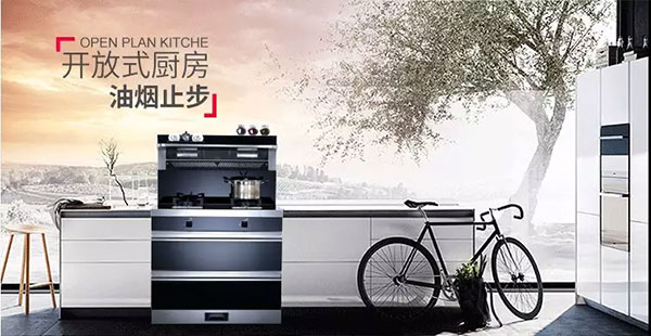 藍(lán)炬星D5集成灶