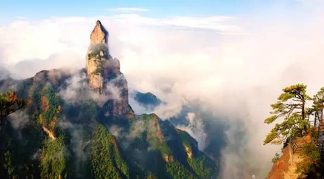 喜訊！浙江仙居葉總成功加盟藍(lán)炬星