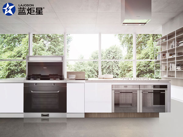 藍(lán)炬星集成灶D6Z