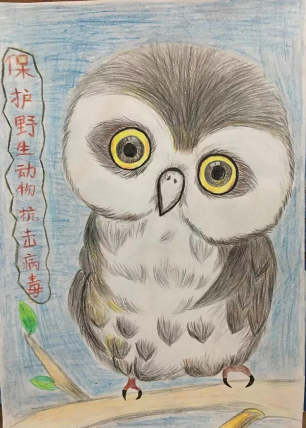 保護(hù)野生動物抗擊病毒